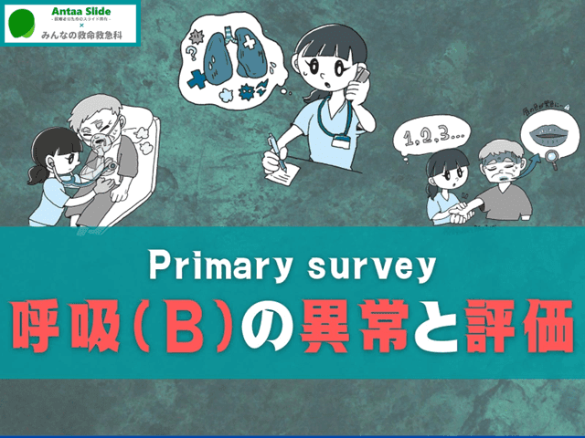 Primary survey 呼吸(B)の異常【メカニズムの評価を中心に】