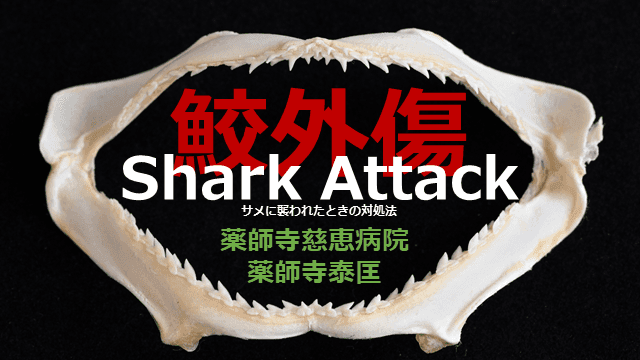 鮫咬傷：サメに襲われた時の対処法