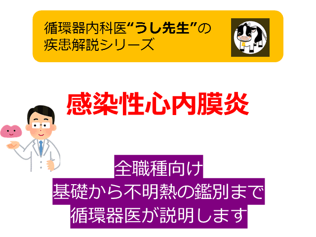 #3 感染性心内膜炎【基礎から不明熱の原因まで】