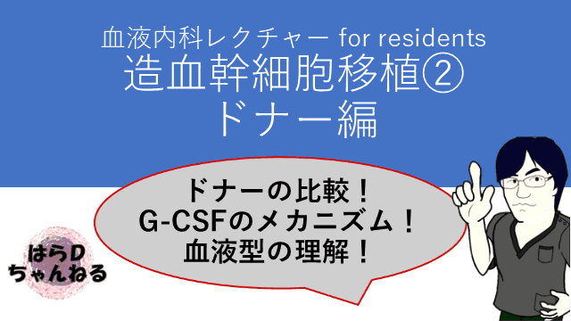 造血幹細胞の原理②　ドナーの選び方、造血幹細胞の取り方、血液型の理解と血液不適合移植について