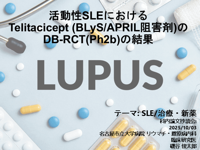 論文抄読会: 活動性SLEにおけるTelitaciceptの有効性