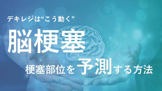 【デキレジ】脳梗塞②梗塞部位を予測する方法