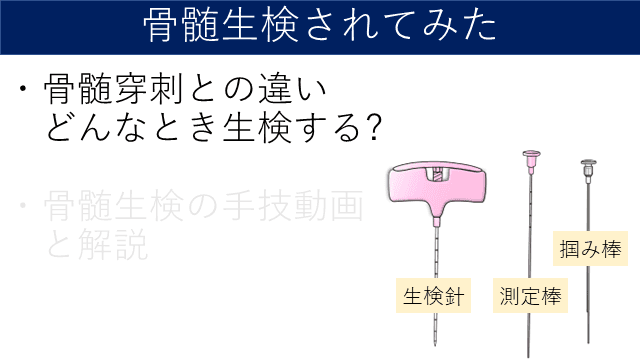 骨髄生検って?!  血液内科医が実際体験しながら解説してみた!!