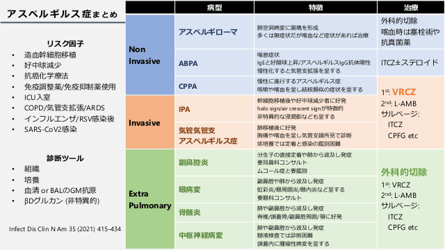 慢性肺アスペルギルス症まとめ