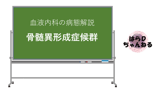 【医学生・研修医のための病態生理】骨髄異形成症候群とは