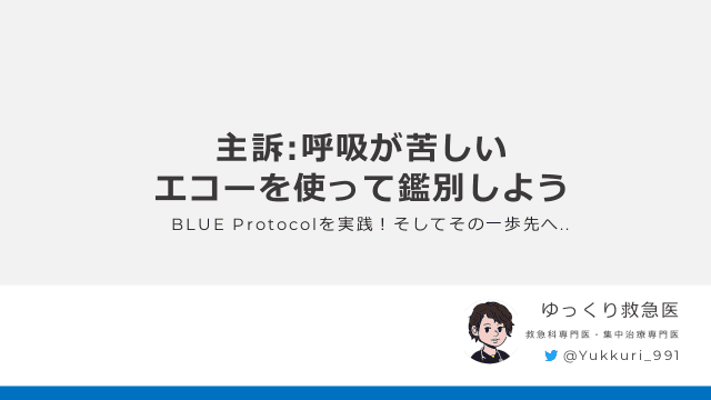 主訴:呼吸が苦しい　エコーを使って鑑別しよう