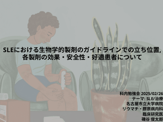 SLEにおける生物学的製剤のガイドラインでの立ち位置, 各製剤の効果・安全性・好適患者について