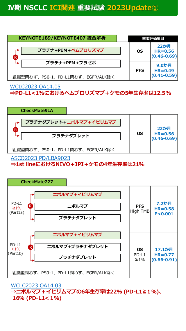 Ⅳ期 NSCLC ICI関連 重要試験 2023年 Update