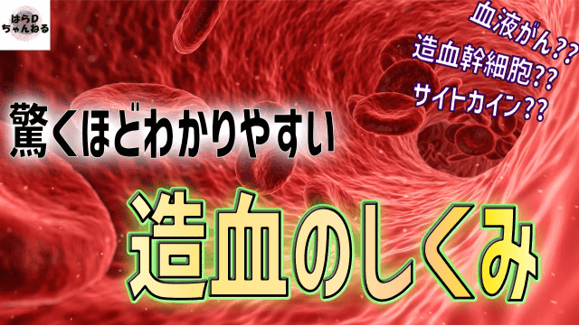 造血の仕組みと血液がんの発生を解説