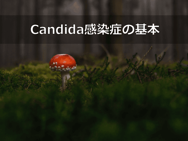 Candida感染症