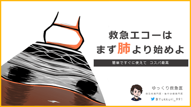 救急エコーはまず肺より始めよ　簡単ですぐに使えて コスパ最高