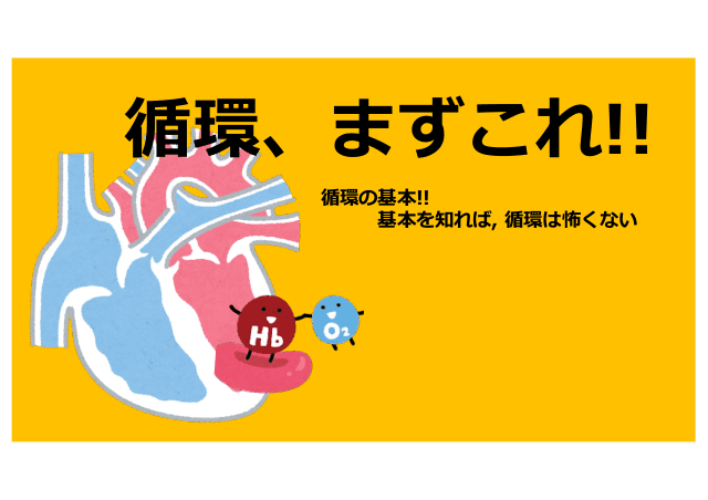 循環、まずこれ！！〜循環の基本編〜酸素の需要/供給バランスを理解しよっ