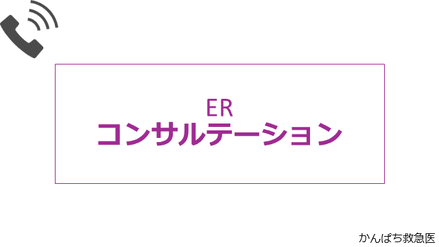 ERコンサルテーション