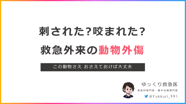 刺された?咬まれた? 救急外来の動物外傷　この動物さえ おさえておけば大丈夫