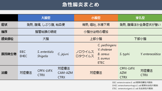 冬に流行する腸炎