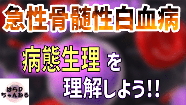 【病態生理の徹底解説】急性骨髄性白血病ってどんな病気？治療はどんな流れ？