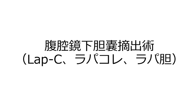 急性胆嚢炎治療における手術のポイント