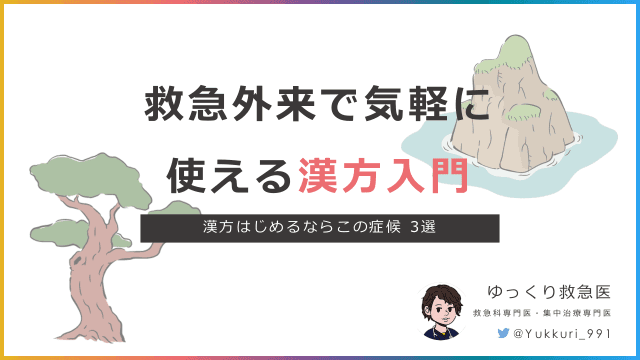 救急外来で気軽に使える漢方入門　漢方はじめるならこの症候 3選