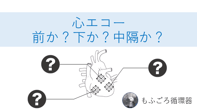 心エコー 前壁・下壁・側壁・中隔の見分け方