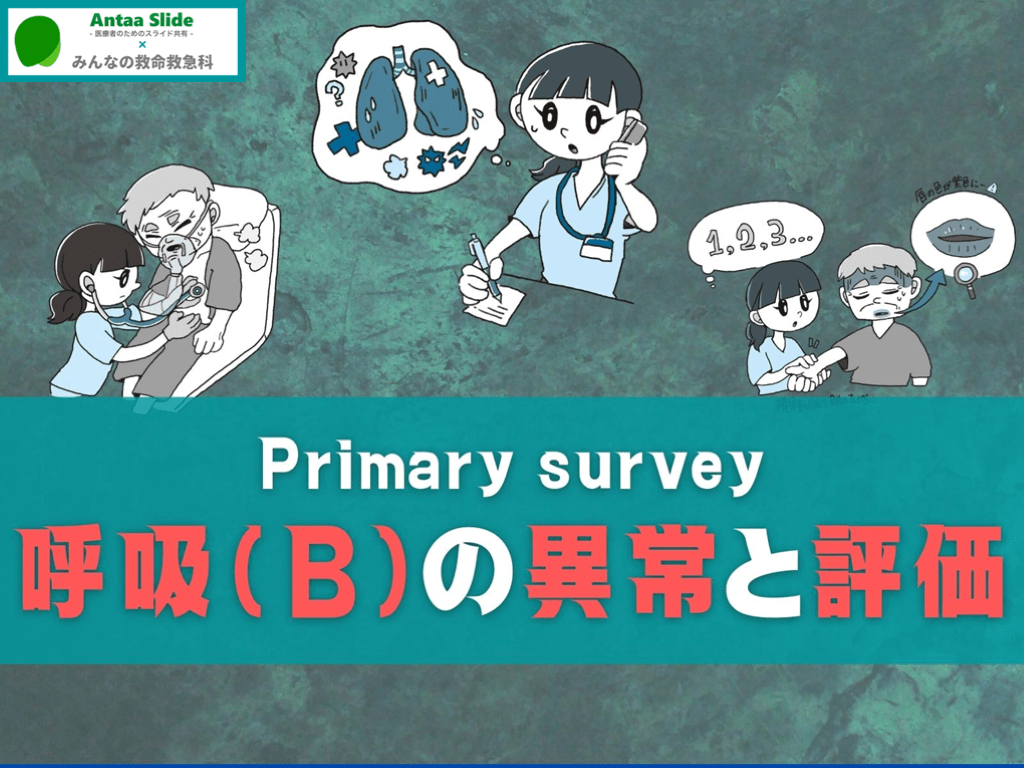 Primary survey 呼吸(B)の異常【メカニズムの評価を中心に】 L001.png