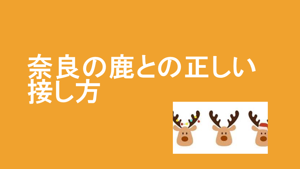 奈良の鹿との正しい接し方 L001.png