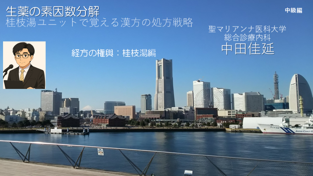 生薬の素因数分解　桂枝湯ユニットで覚える漢方の処方戦略 L001.png