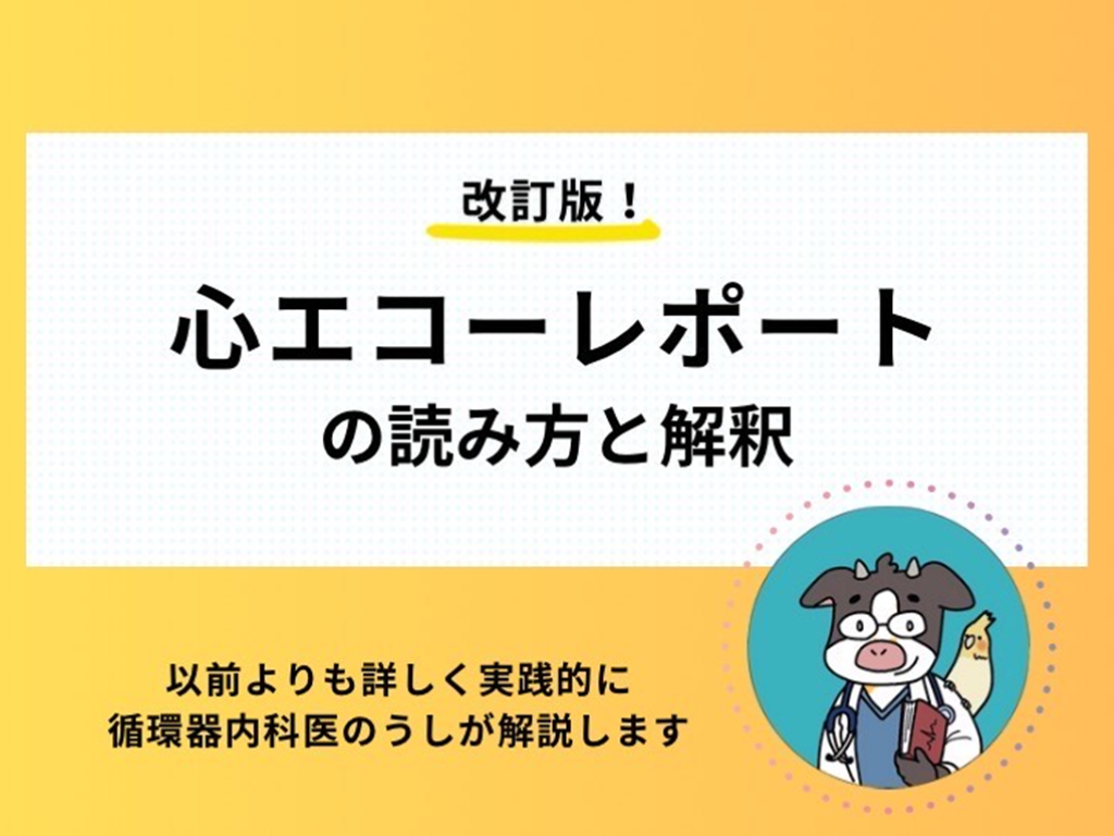 心エコーレポートの読み方と解釈 L001.png