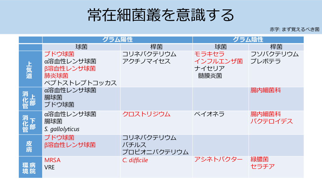 侵襲性細菌感染症 その他無菌