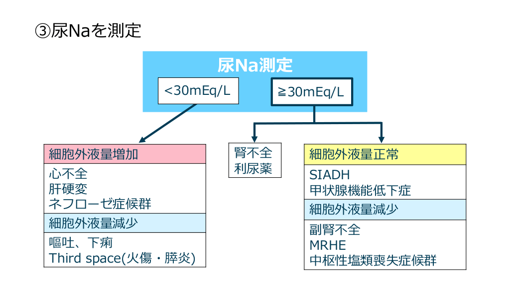 低ナトリウム血症とはどういう意味ですか?