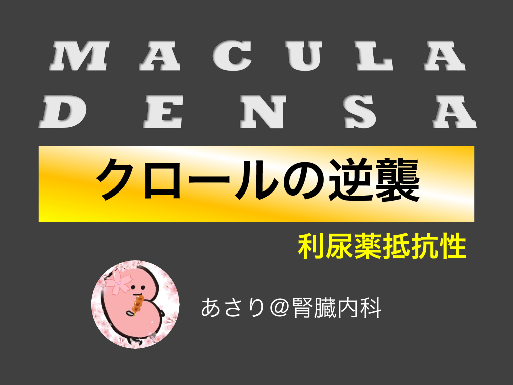 利尿薬抵抗性（クロールの逆襲） L1.png