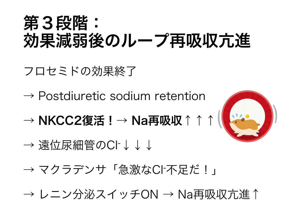 利尿薬抵抗性(クロールの逆襲) | Antaa Slide