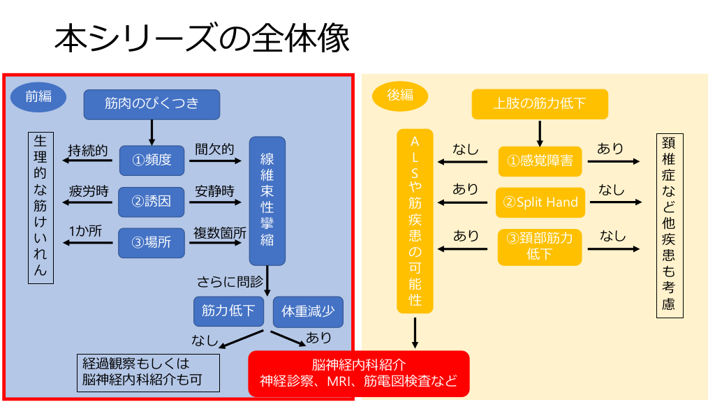 神経筋骨格障害の臨床評価 筋萎縮性側索硬化症（ALS）～見逃してはいけない診るべき
