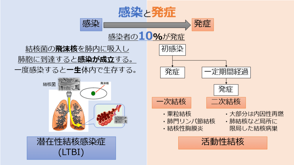 結核 メカニズム: 結核 かかりやすい人 – HRRSEA