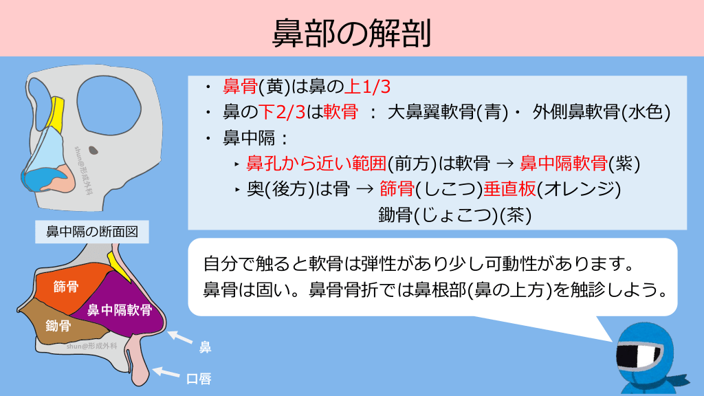 鼻骨骨折 顔面骨骨折no 1 救外やるなら知っておきたいシリーズ Part3 Antaa Slide 鼻骨骨折 顔面骨骨折no 1 救外やるなら知っておきたいシリーズ Part3 Antaa Slide
