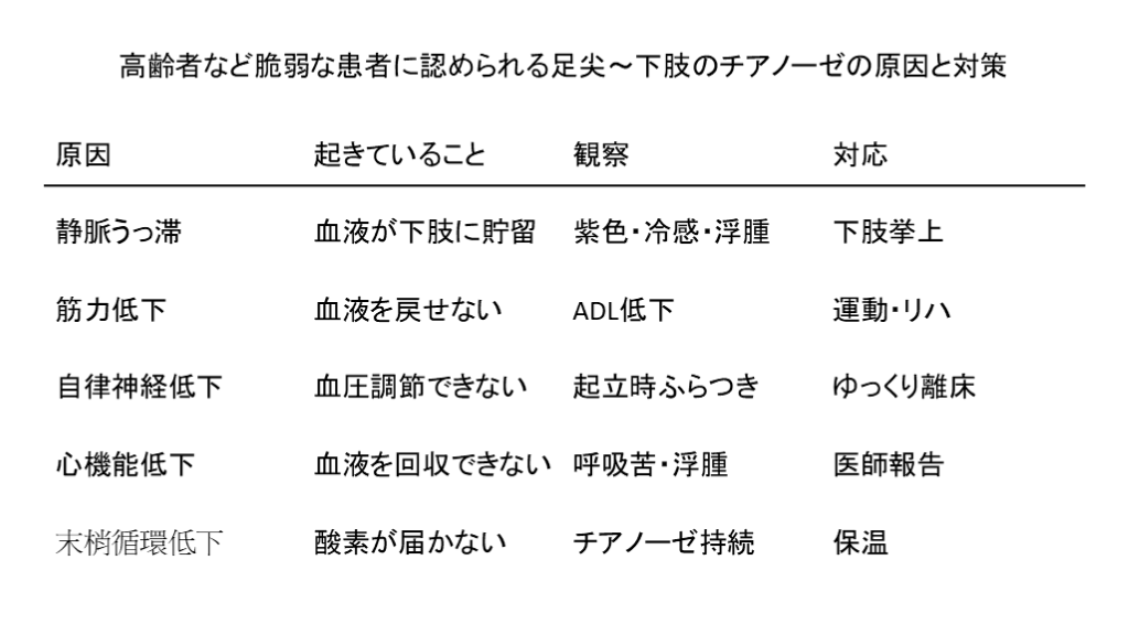 下肢循環不全の鑑別 L001.png