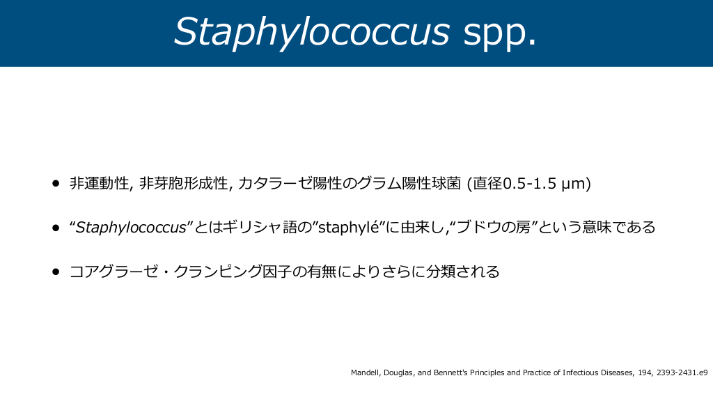 42名の医師のネクタイの検討で 全ネクタイの1 人気 3がmrsaを含む黄色ブドウ球菌のリザーバーになっている 米国微生物学会