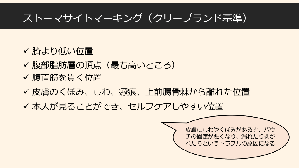 純正特注 ストーマパウチ70mm ホリスター人工肛門22枚 paragraph.mx