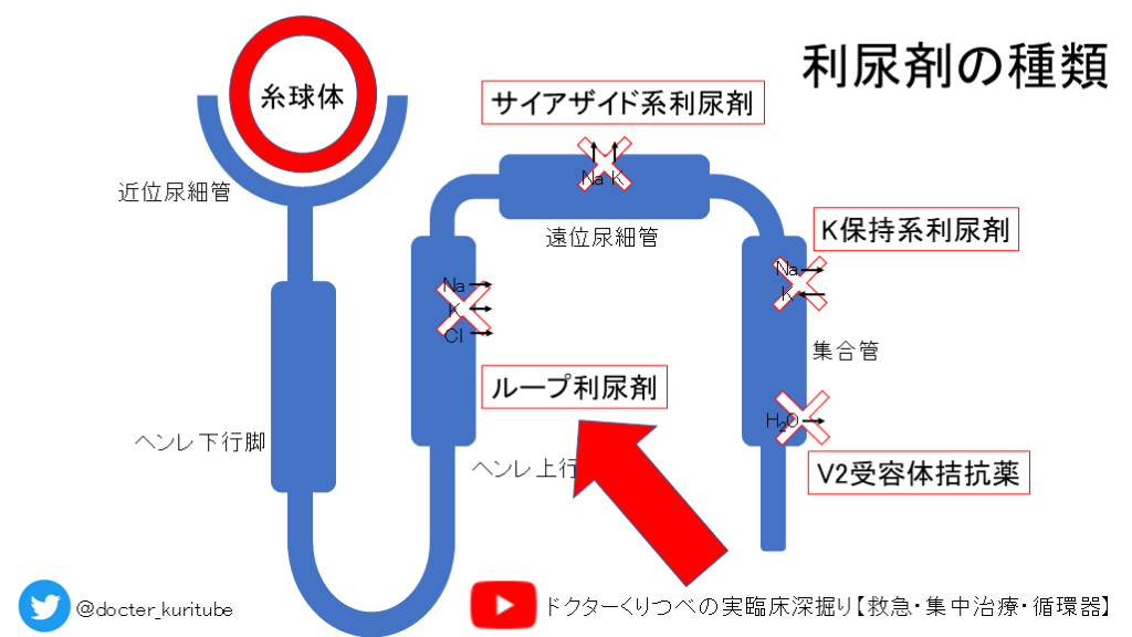塩酸アミロライド ヒドロクロロチアジド ルグランのリーフレット