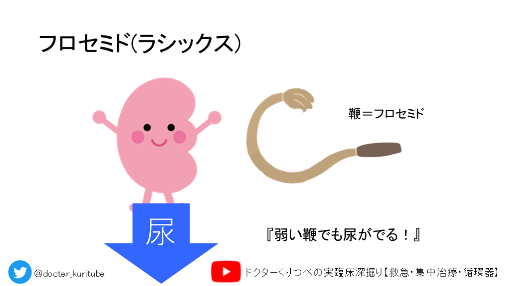 生合成フロセミドのリーフレット