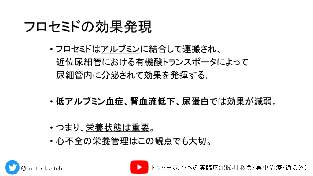 lqfex フロセミドのリーフレット