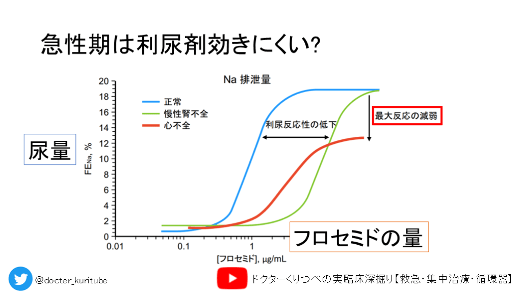 生合成フロセミドのリーフレット