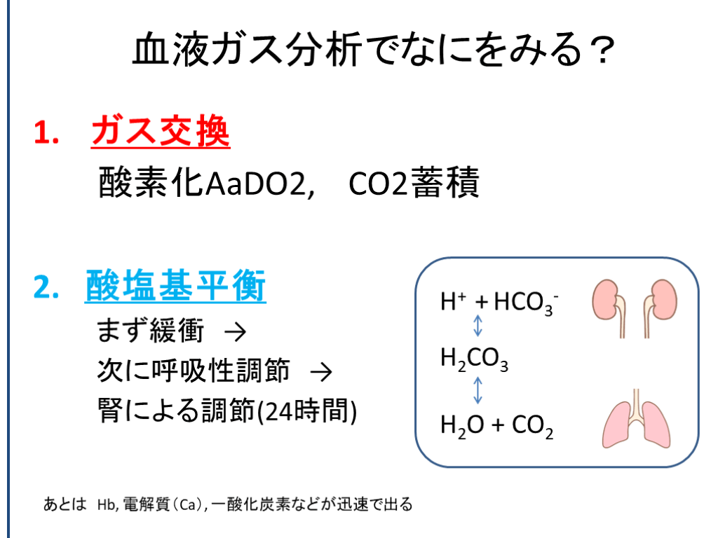 血液ガスの紐解き方 | Antaa Slide