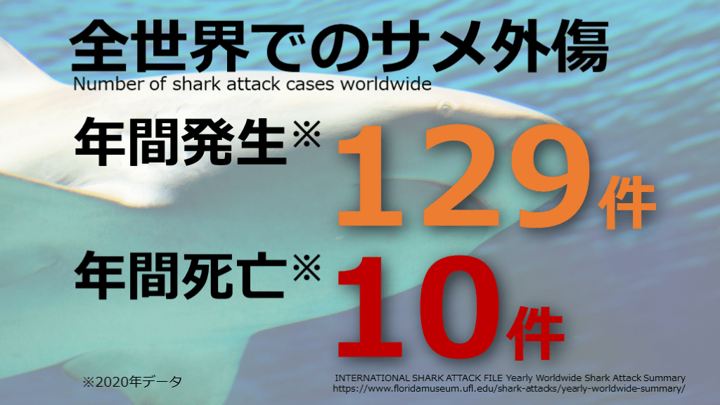 鮫咬傷：サメに襲われた時の対処法 | Antaa Slide