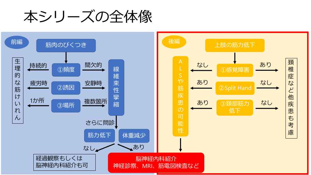 筋萎縮性側索硬化症(ALS) ~見逃してはいけない診るべきポイント 筋萎縮性側索硬化症(ALS) ~見逃してはいけない診るべきポイント