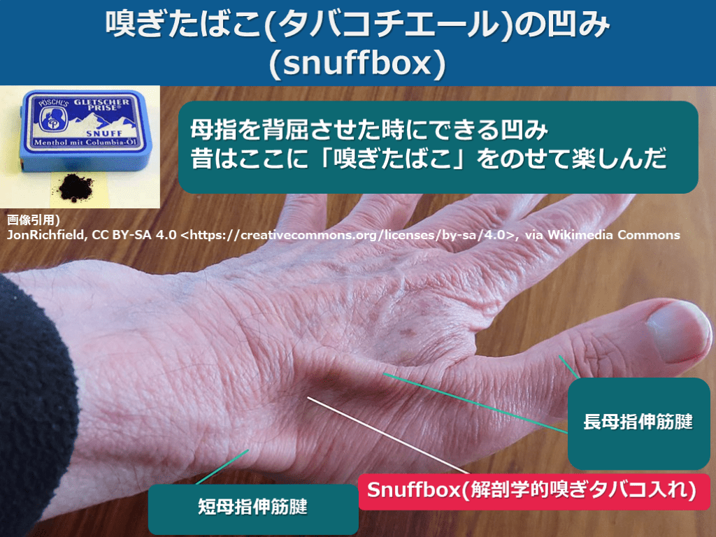 【症例で学ぶ!】+αの外傷診療【手をついた FOOSH injury】 | Antaa Slide