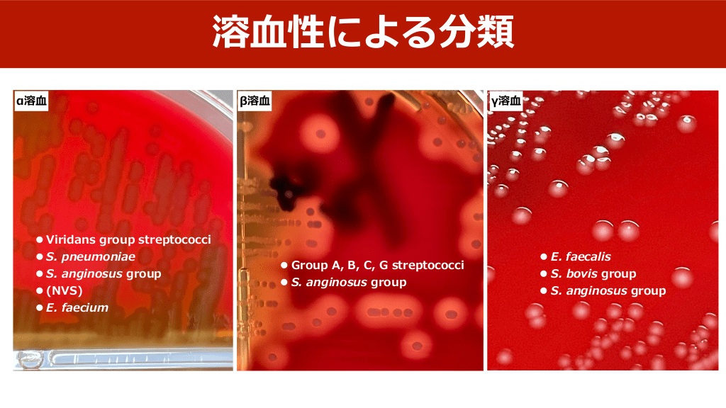 テスト結果は何を意味しますか?