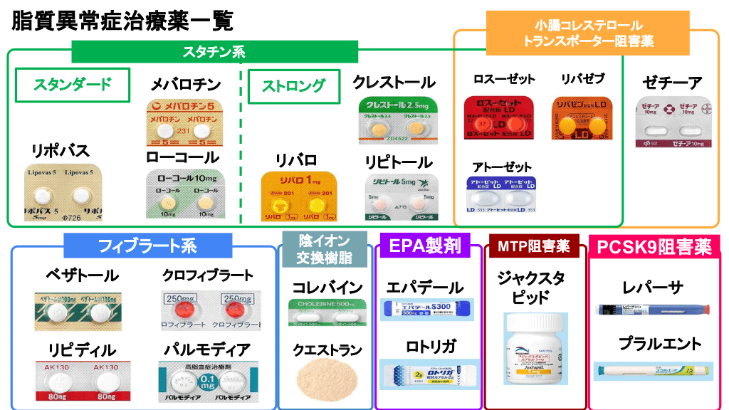 脂質代謝改善薬一覧 – 中性脂肪を下げる薬 – TGTCE