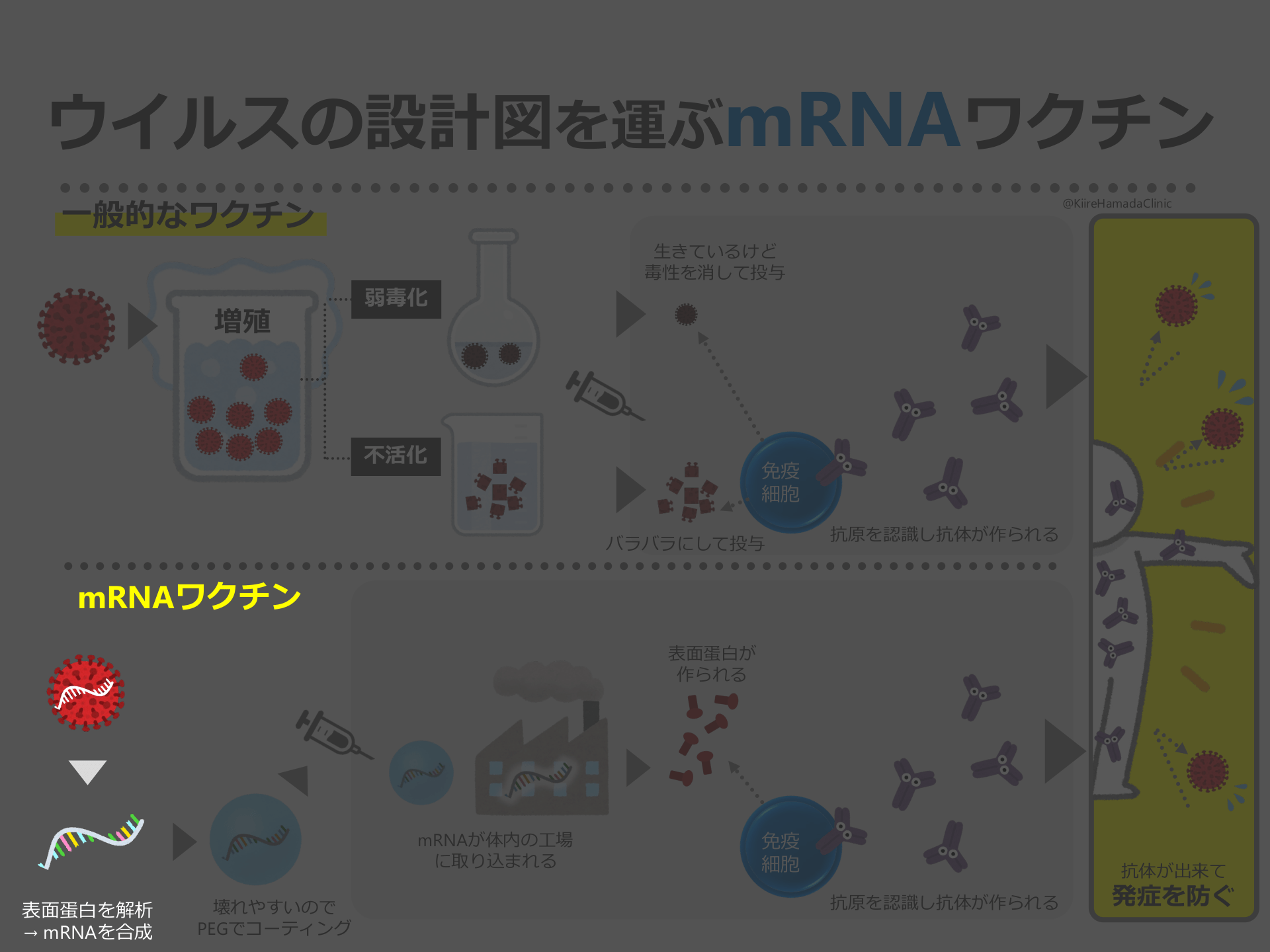 12歳以上のあなたと一緒に考えるコロナワクチン~Full版~ | Antaa Slide