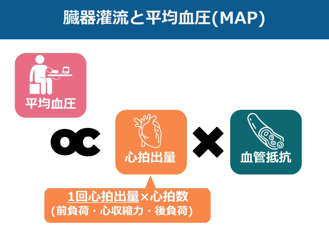 ショックのまとめ【定義・分類・鑑別を中心に】 | Antaa Slide