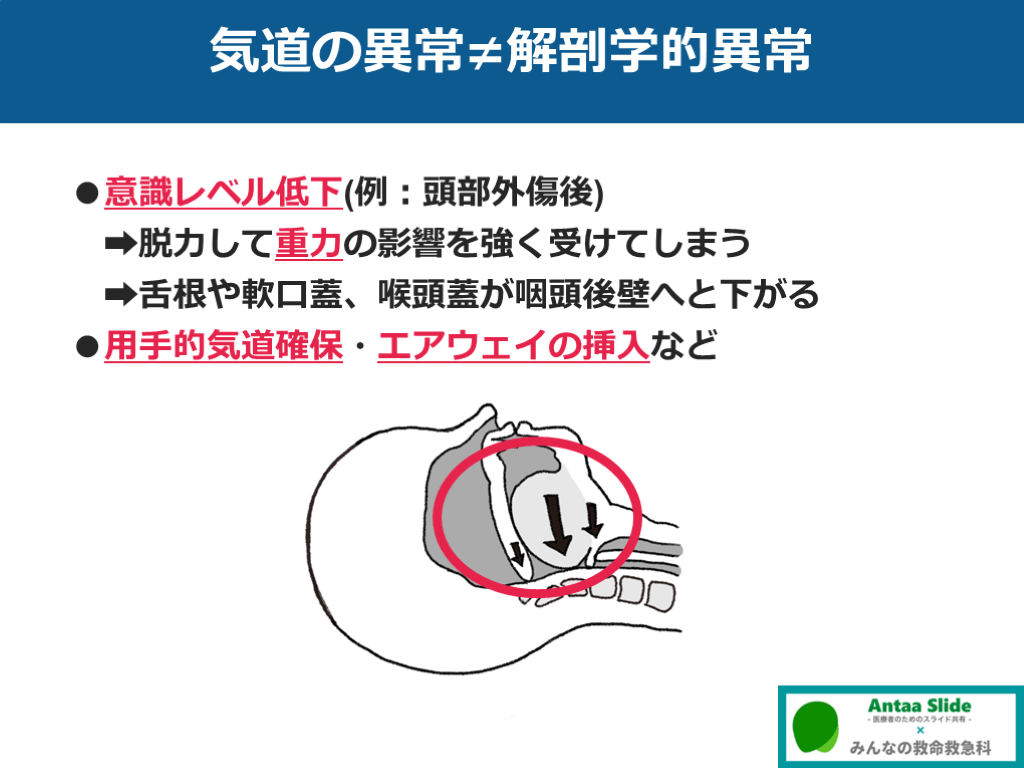 格安人気 みんなの救命救急科 本